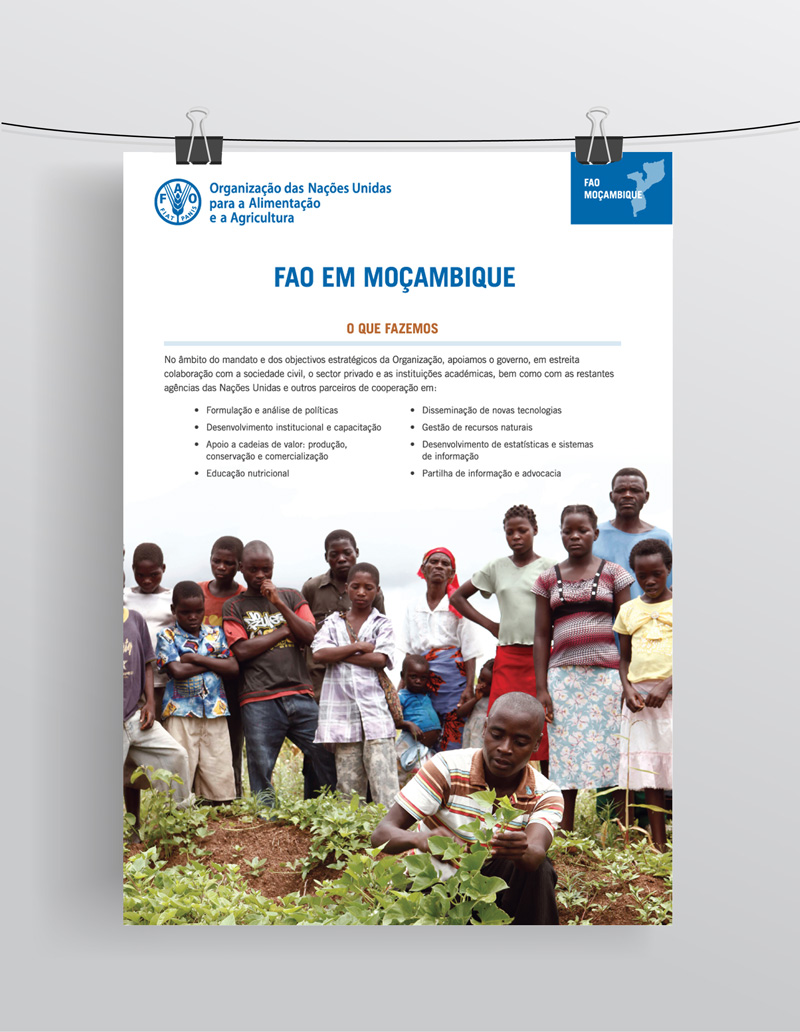 FAO-Factsheet2
